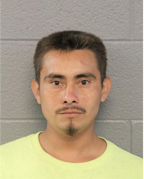 VICTOR M DIAZ-PEREZ, Cook County, Illinois