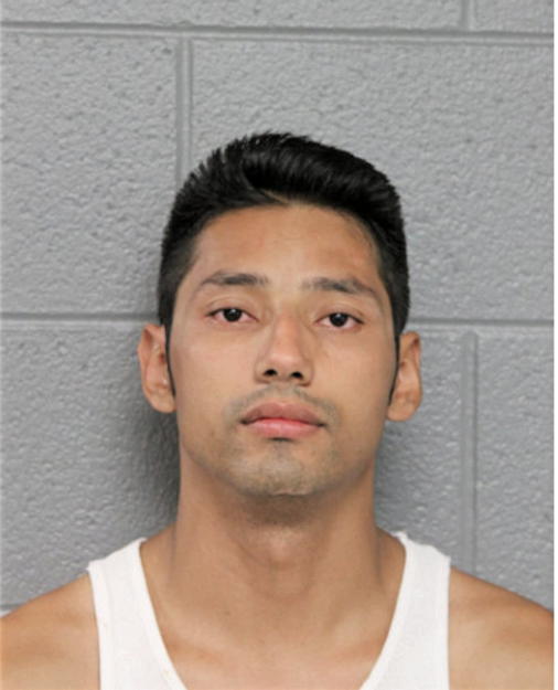 ISMAEL GALVAN, Cook County, Illinois