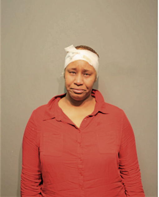 SHAUNTA E JOHNSON, Cook County, Illinois