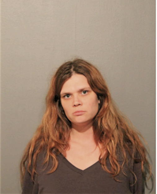 LARISA L METZGER, Cook County, Illinois