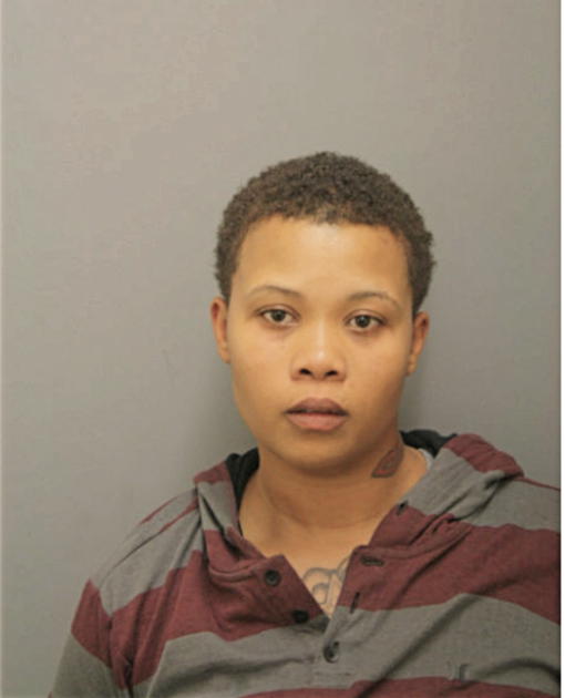 SCHNILLE SMITH, Cook County, Illinois