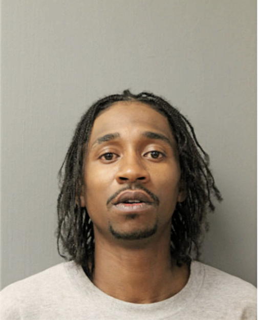 TERELL D HUDSON, Cook County, Illinois