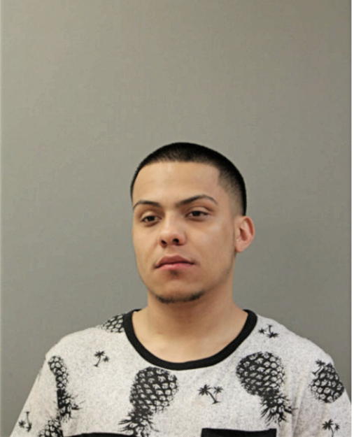 JOHNATHAN FLORES, Cook County, Illinois