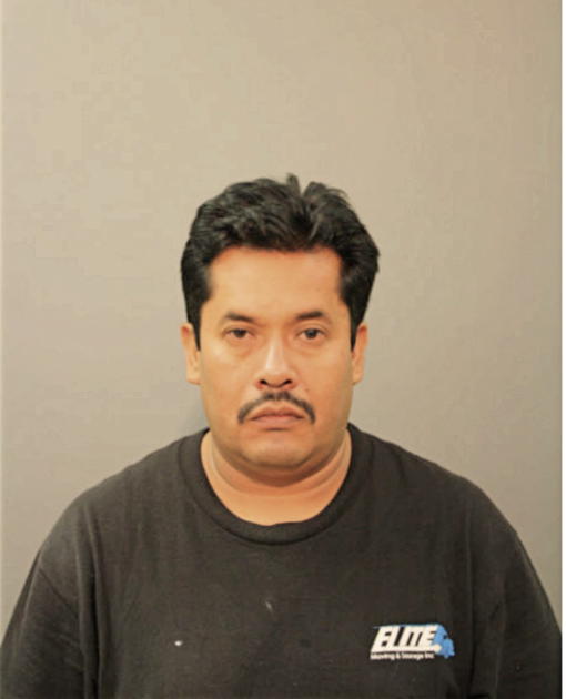 RAMIRO C RAMIREZ, Cook County, Illinois