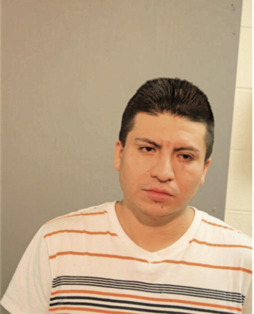 VICTOR GONZALES, Cook County, Illinois