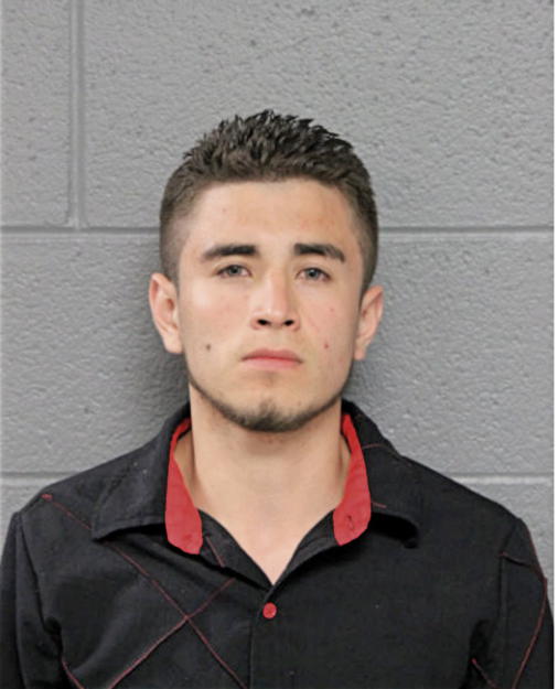 CESAR PEREZ, Cook County, Illinois