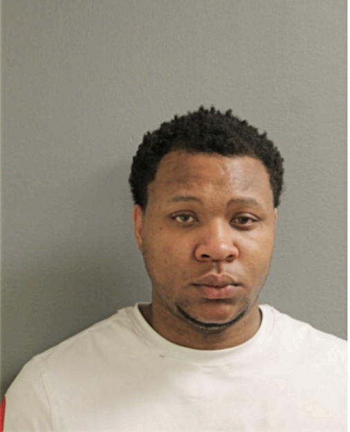 MATTHEW T MCNEAL, Cook County, Illinois