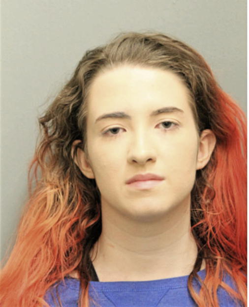 PAIGE DEVIENCE, Cook County, Illinois
