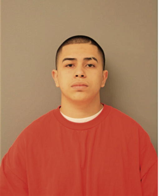 ISMAEL T GARCIA, Cook County, Illinois