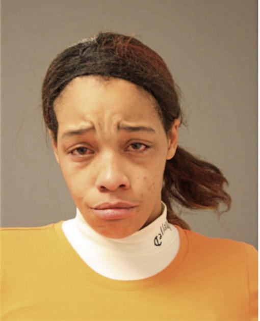 BRITTANY L GAINES, Cook County, Illinois