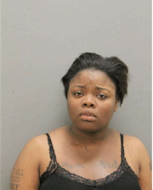 KISSISMMEE C JOHNSON, Cook County, Illinois