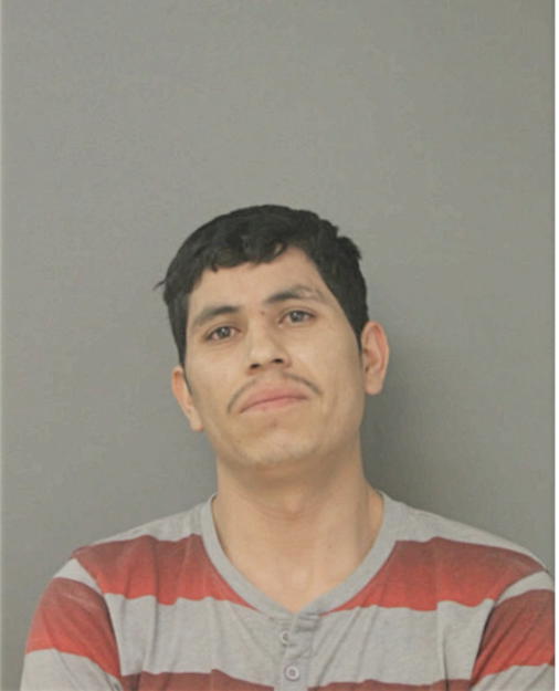 JOSE L MARTINEZ, Cook County, Illinois