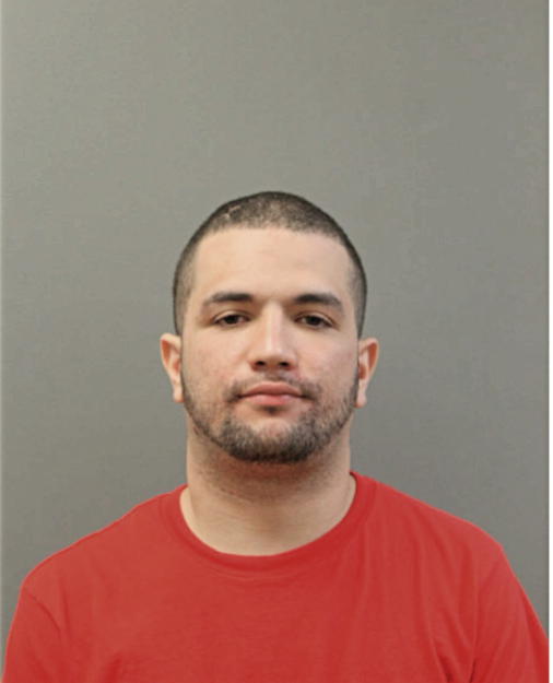 LUIS RIVERA, Cook County, Illinois