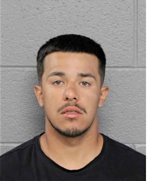 GABRIEL A TREJO, Cook County, Illinois