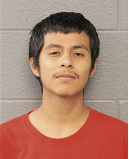 MIGUEL FLORES, IL