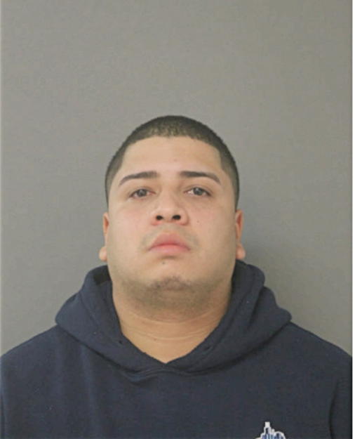 MIGUEL A OSTERLING, Cook County, Illinois