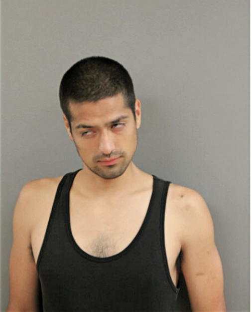 OMAR A RODRIGUEZ, Cook County, Illinois