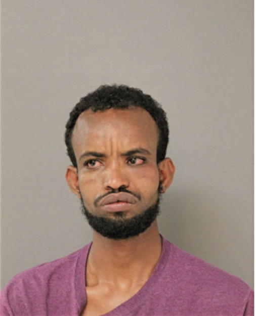 HASSAN A MOHAMMED, Cook County, Illinois