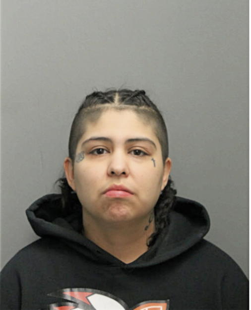 ROSEMARY VARGAS, Cook County, Illinois