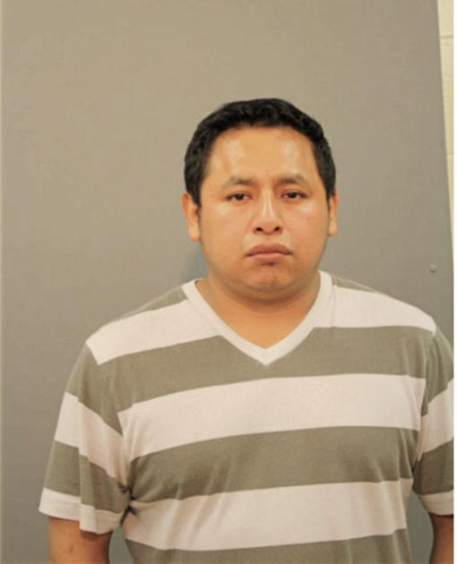 MIGUEL MENDOZA, Cook County, Illinois