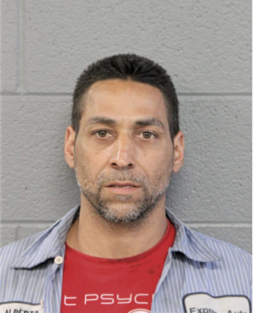 ISMAEL L NEGRON, Cook County, Illinois