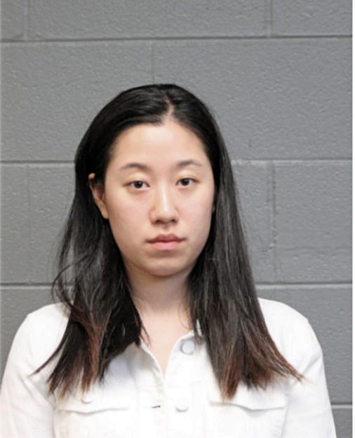 MINJUNG SON, Cook County, Illinois