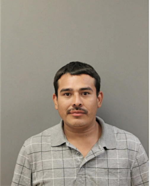 ISMAEL FLORES, Cook County, Illinois