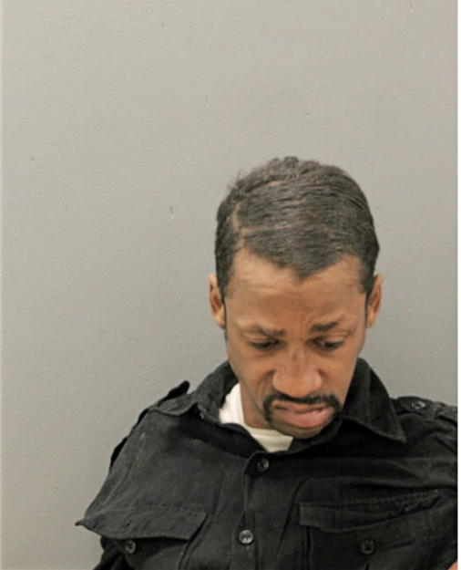 TYRONE L NICHOLSON, Cook County, Illinois