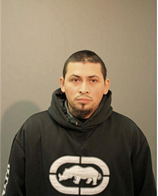 JOSE L MORA-HERREJON, Cook County, Illinois