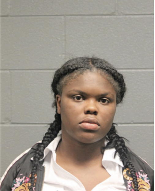 BRITTANY T SMITH, Cook County, Illinois