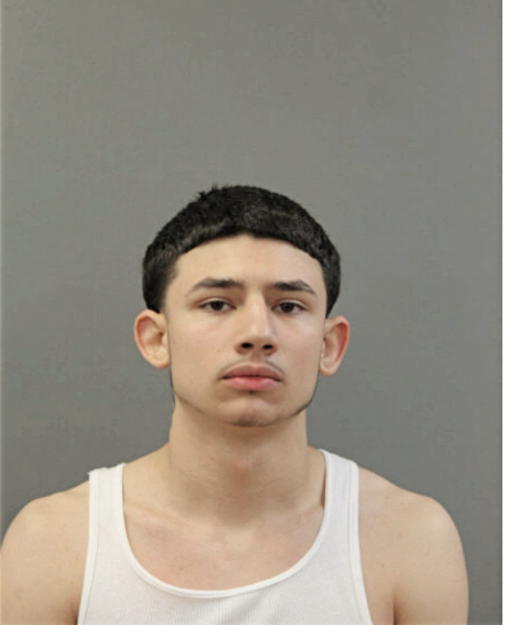 GABRIEL PONCE, Cook County, Illinois
