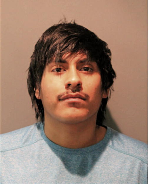 JESUS ORTEGA, Cook County, Illinois