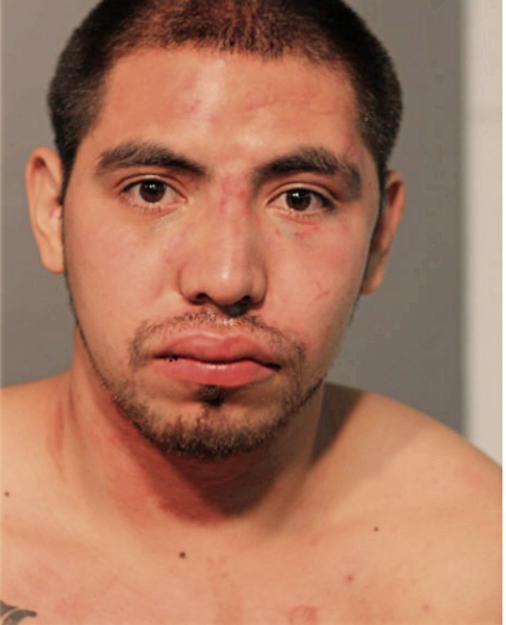 LUIS PATRICIO TREJO-GUZMAN, Cook County, Illinois