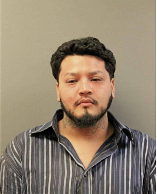 RAUL DIAZ-GARCIA, Cook County, Illinois