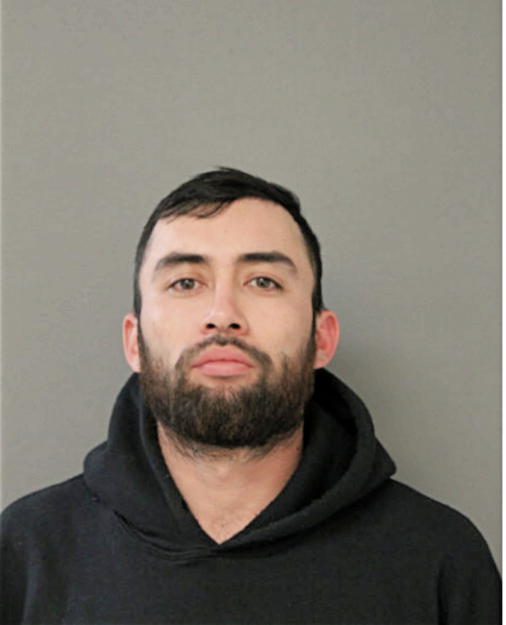 TONY G FLORES-GONZALEZ, Cook County, Illinois