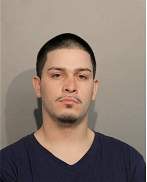 JORGE E NAVARRETE-CABALLERO, Cook County, Illinois