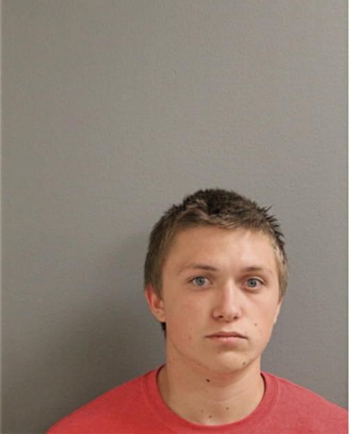 DILLION J ROEWER, Cook County, Illinois