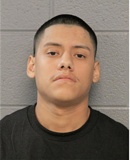 MARTIN TORRES, Cook County, Illinois