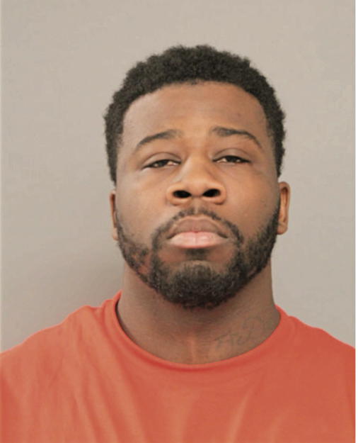 DANTE D DIXON, Cook County, Illinois