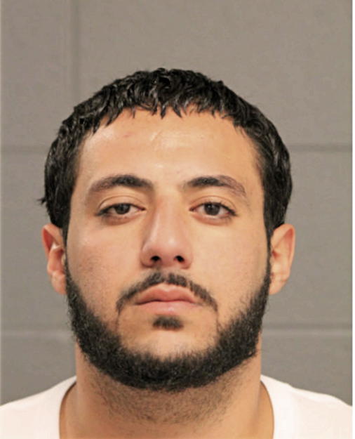 TAWFIK A MOHAMMAD, Cook County, Illinois