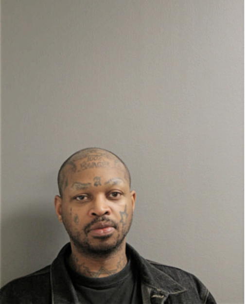 AARON L GREEN, Cook County, Illinois
