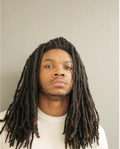 DEANDRE L HOLDEN, Cook County, Illinois