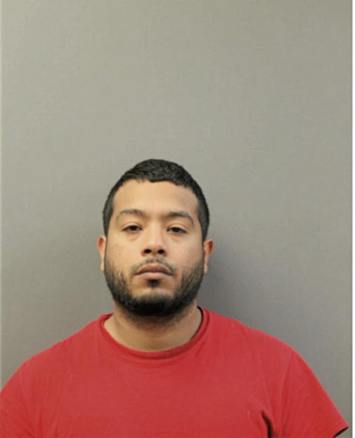 MICHAEL A ORTIZ, Cook County, Illinois