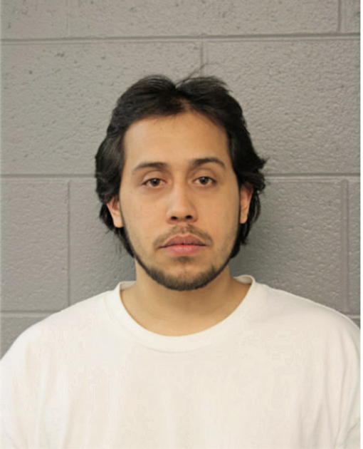 MANUEL VARGAS, Cook County, Illinois