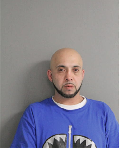 AHMED S HAMED, Cook County, Illinois