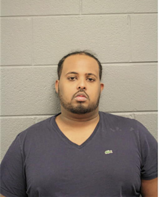 ALI MOHAMED, Cook County, Illinois