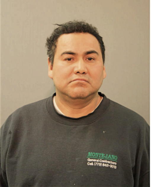 ALFONSO M IBARRA, Cook County, Illinois