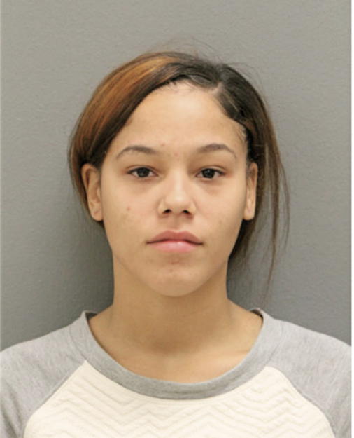 MEGAN R FOSTER, Cook County, Illinois