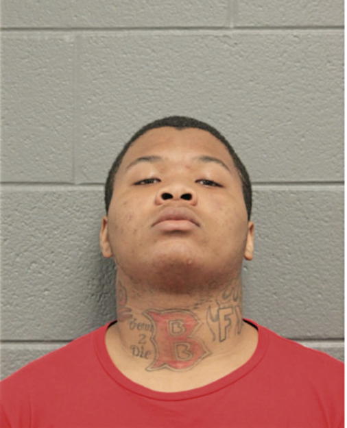 BRYANT WALKER, Cook County, Illinois