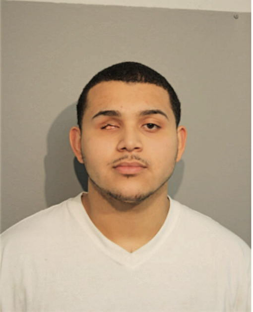 VICTOR W TORRES, Cook County, Illinois